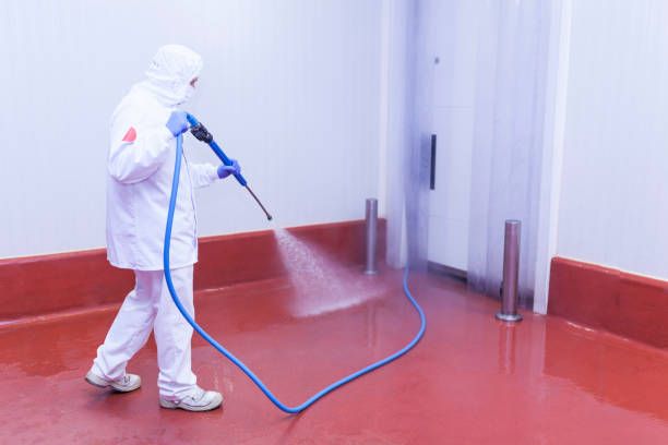 Reliable Holley, FL Pressure Washing Services Solutions